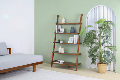 LADDER DISPLAY SHELF